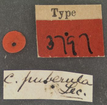 Media type: image;   Entomology 3797 Aspect: labels